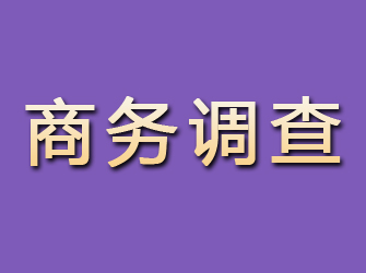 康县商务调查